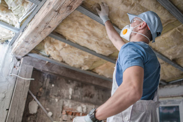 Best DIY Insulation Kits and Guidance in Channel Lake, IL