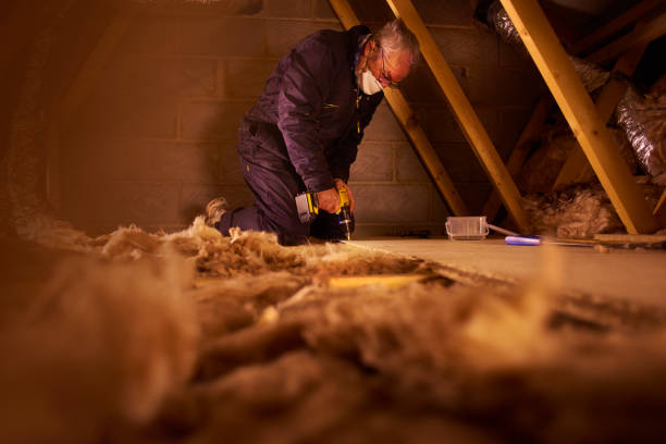 Best Residential Insulation in Channel Lake, IL