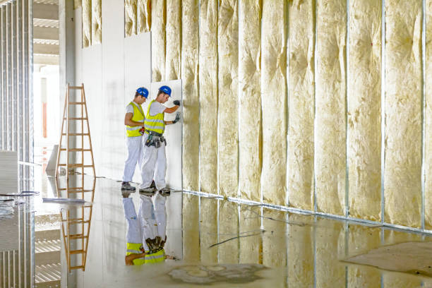 Best Specialized Insulation Services in Channel Lake, IL